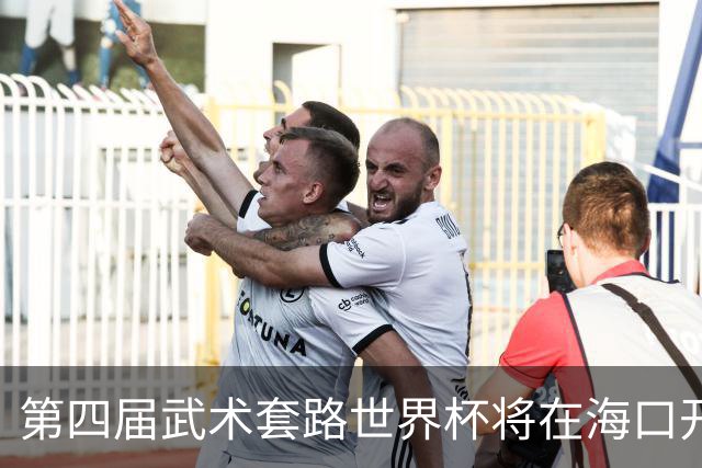 第四届武术套路世界杯将在海口开赛 30多个国家和地区人员参赛